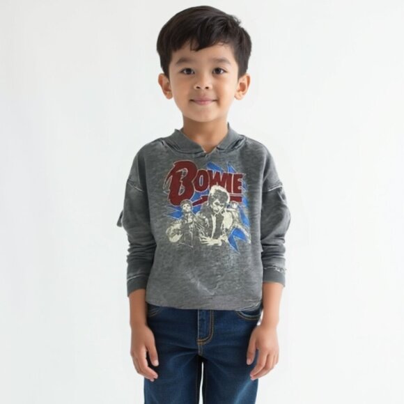 Bowie Hoodie 2T - Picture 1 of 10